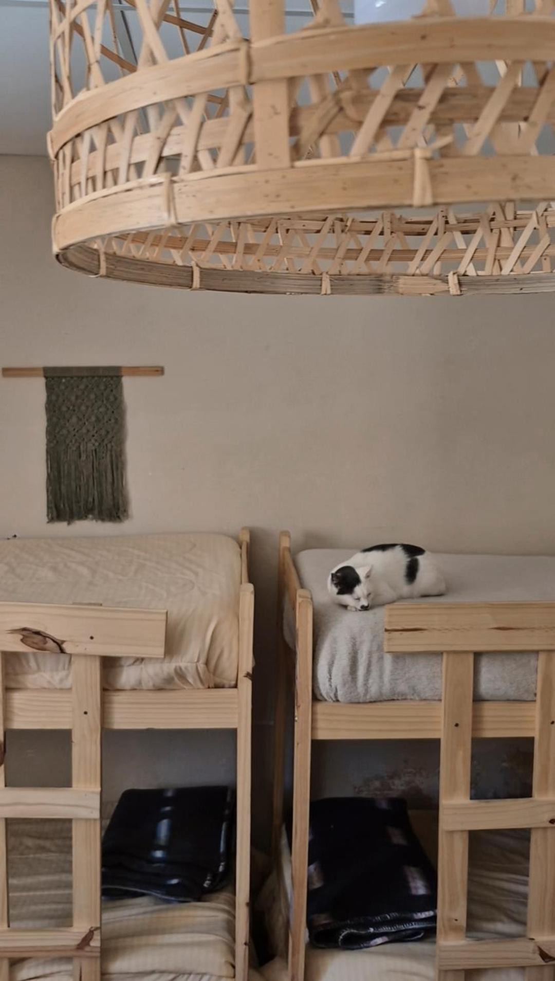 Mestiza Hostal Humahuaca Extérieur photo